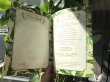 画像3: 自分自神との結魂式【自分自神となる宣誓のマントラ　ハワイバージョン (3)