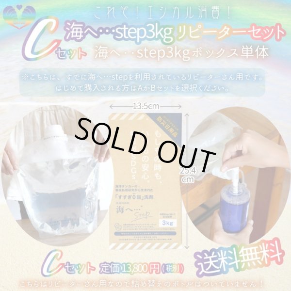 画像3: がんこ本舗の「海をまもる」UKYOUセレクトお洗濯セット♪　クロネコ送料無料☆（2023年5月クロネコ送料値上げにつき北海道と東北地区のみ一部負担いただくことになりました） (3)