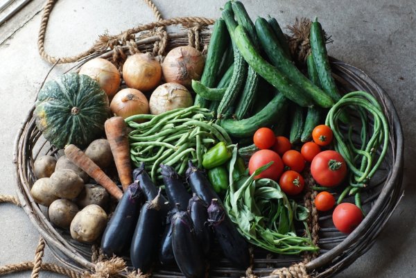 画像10: 自然農法無の会【歓喜の楽校】単発＆入学希望の方はこちらから (10)